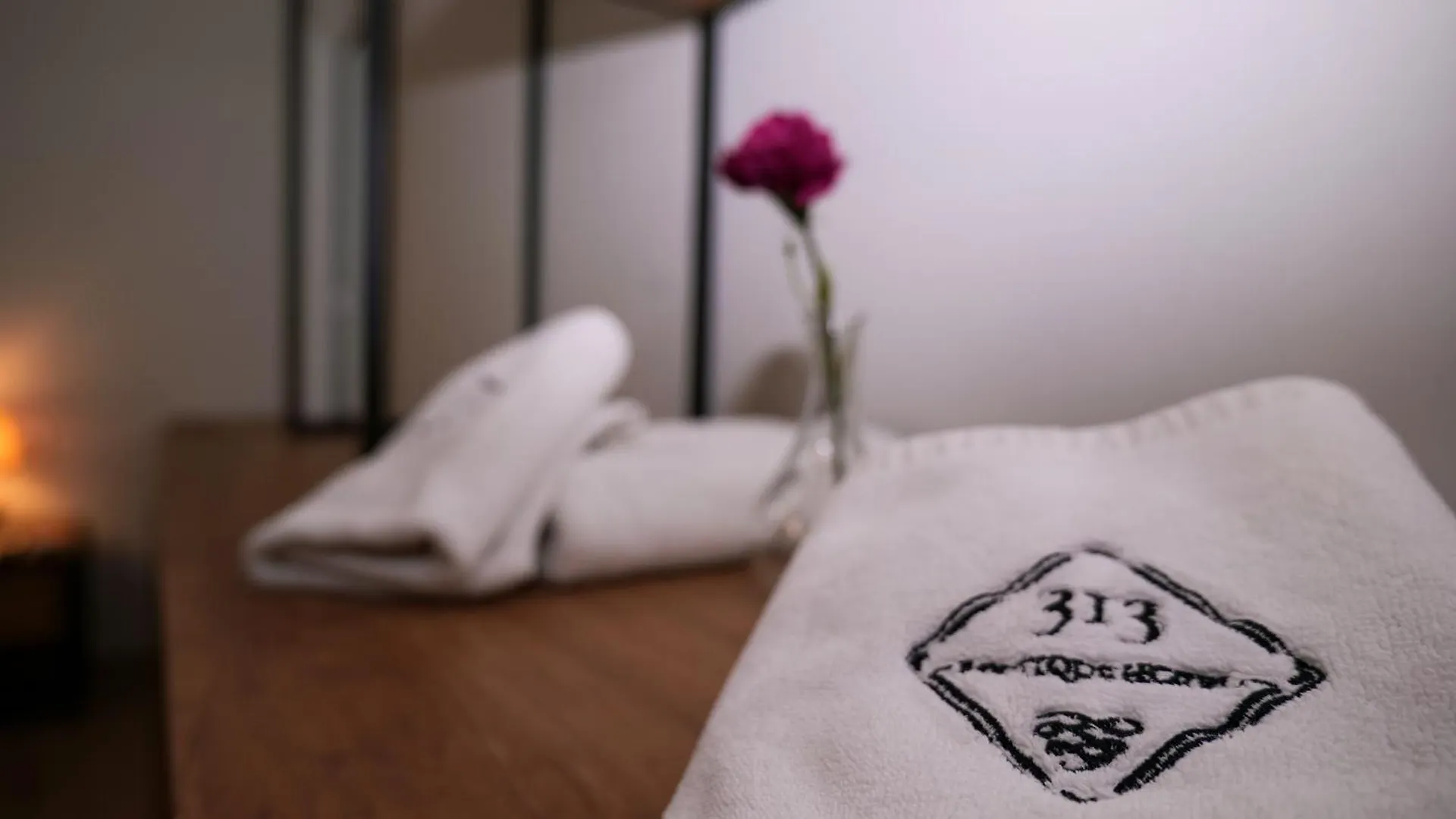 Ξενοδοχείο 313 Villa Τίρανα
